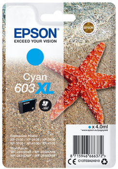 Epson 603XL cyan Seestern